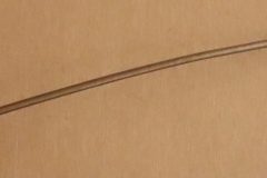 Bensintank Ventilationsrör 1968-70 Charger