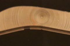 Baklampsglas Inre 1958 Edsel Citation Corsair