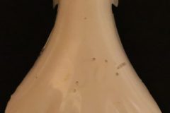 Avgasutsläpp "Lejontass"