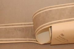 Stripe Kit  1973-74 Roadrunner